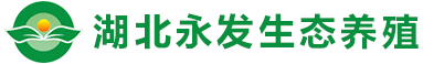 湖北91精品国产乱码久久蜜桃生態水蜜桃国产精品有限公司